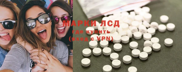 индика Карпинск