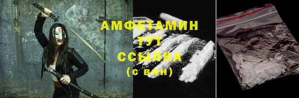 индика Карпинск