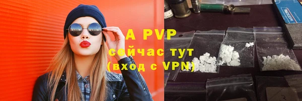 индика Карпинск