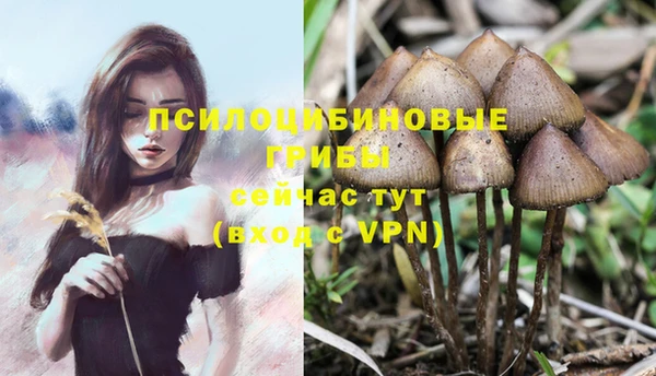 гашик Кинешма