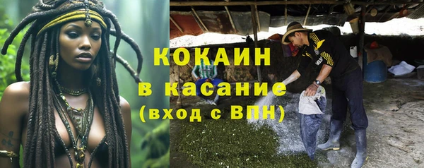mix Касимов