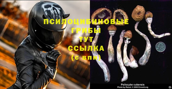 дурь Киренск