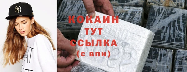 гидра Киреевск
