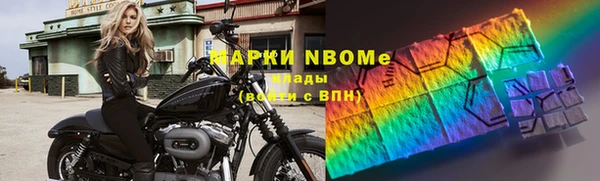 индика Карпинск