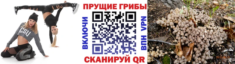 Купить где  Наро-Фоминск  Псилоцибиновые грибы MAGIC MUSHROOMS 
